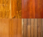 Exotics - Hickory - Seattle Hardwood Floors